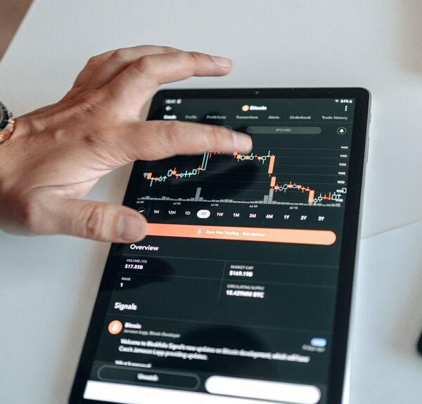 comprehensive darkero platform overview